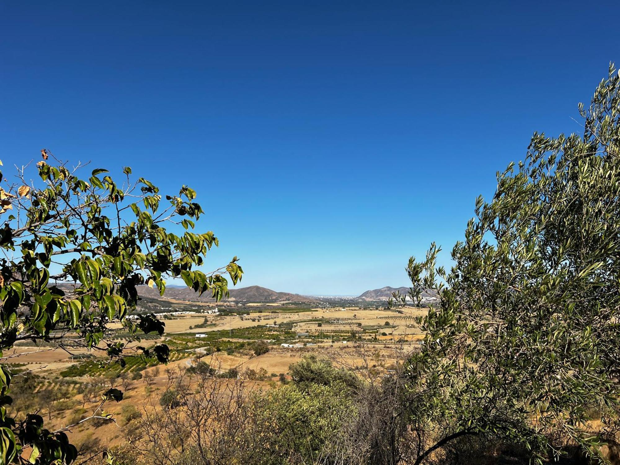 Santa Teresa Bed & Breakfast Andalusien Pizarra Exterior foto